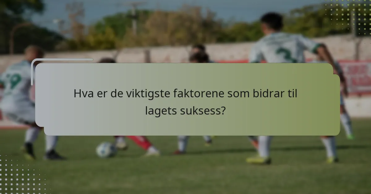 Hva er de viktigste faktorene som bidrar til lagets suksess?