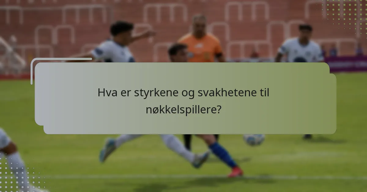 Hva er styrkene og svakhetene til nøkkelspillere?