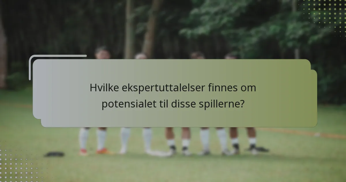 Hvilke ekspertuttalelser finnes om potensialet til disse spillerne?